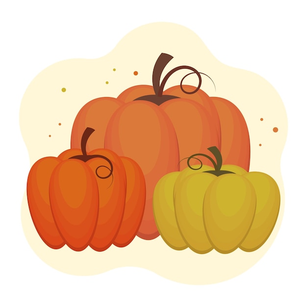 Vector colorful autumn pumpkins, thanksgiving. illustration, postcard, vector