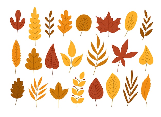 カラフルな秋の葉のセット ベクトル イラスト クリップアート