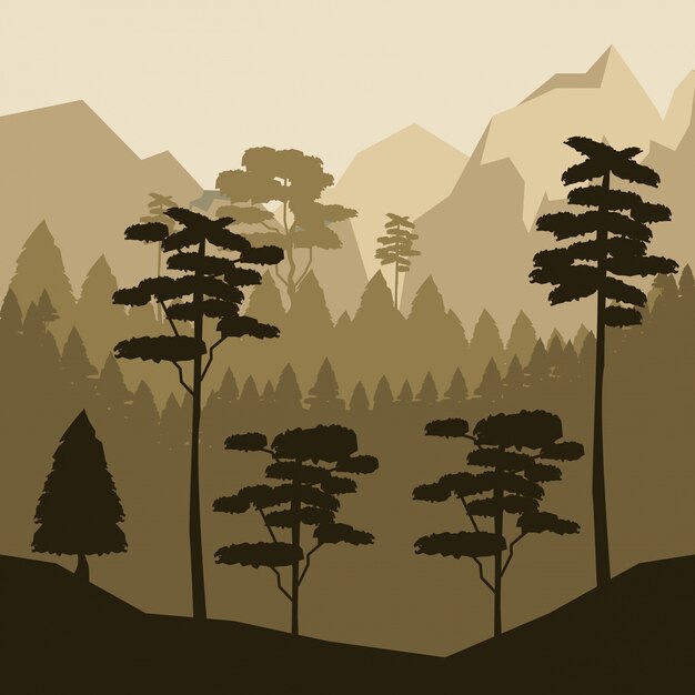 Vector colorful background with sunset landscape of forest 
