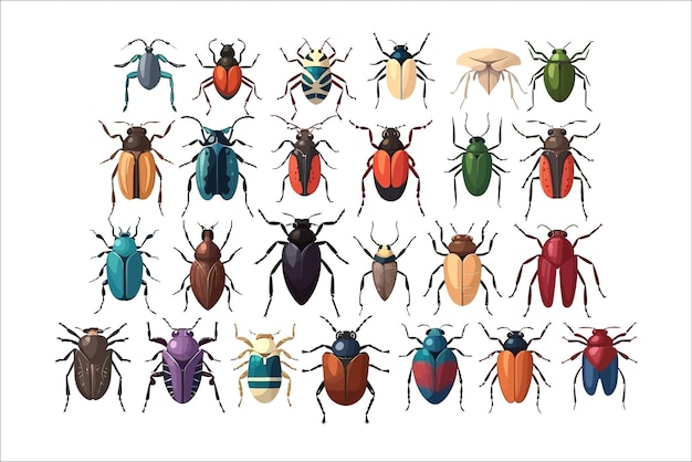 Colorful beetles Isolated on background Cartoon vector illustration