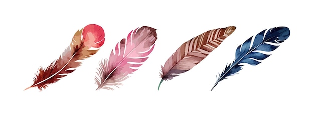 Colorful bird feather watercolor set isolated on white background Vintage boho decorative elements vector illustration