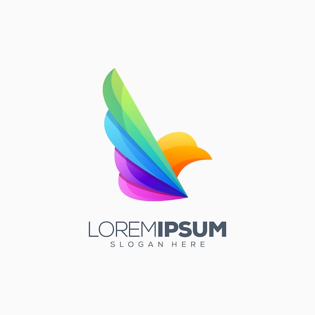 Colorful bird logo design vector illustration