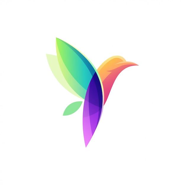 Vector colorful bird logo
