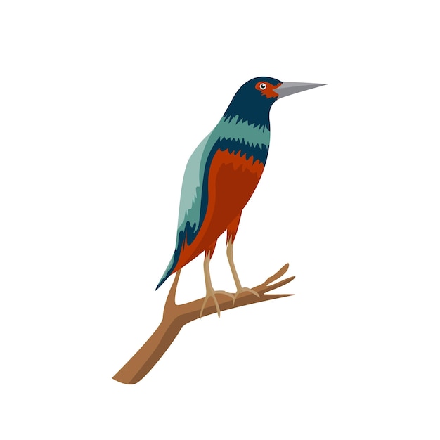 Colorful bird that sits on a tree branch logo design vector design