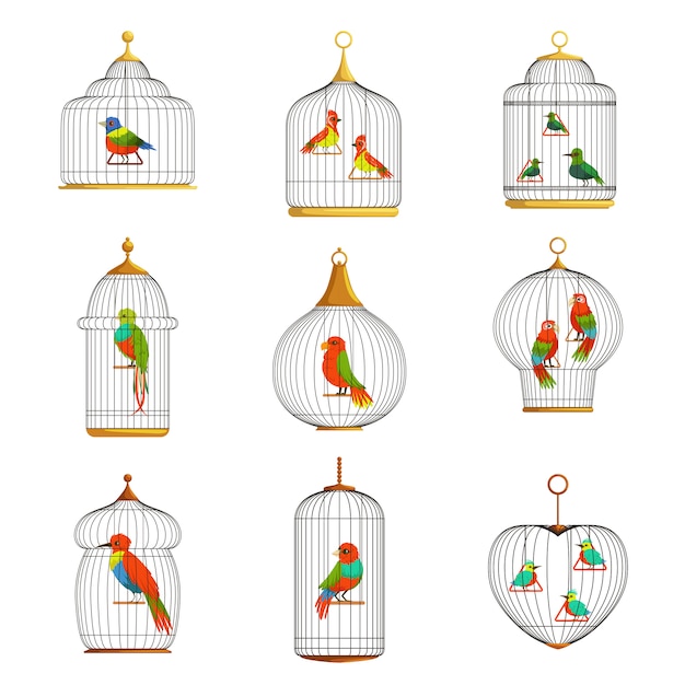 Vector colorful birds in cages set  illustrations