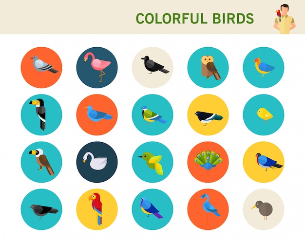 Colorful birds concept flat icons.