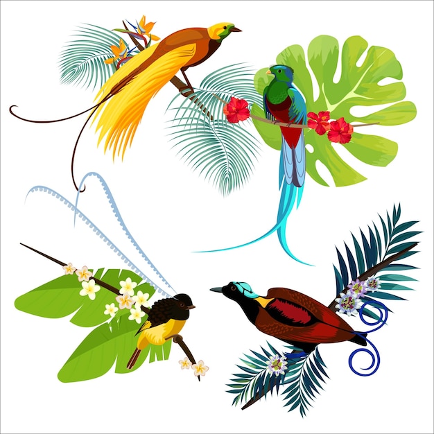 Uccelli del paradiso colorati di varie dimensioni seduti su rami con fiori