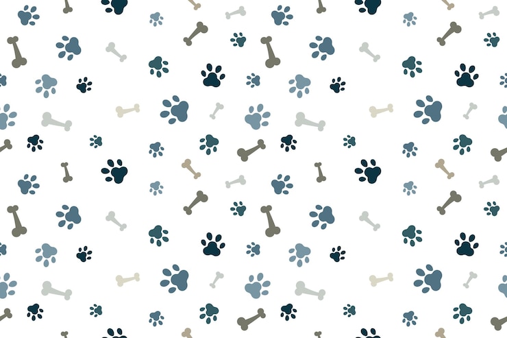 Vector colorful bone and cat or dog paw pattern background wallpaper vector illustration abstract animal