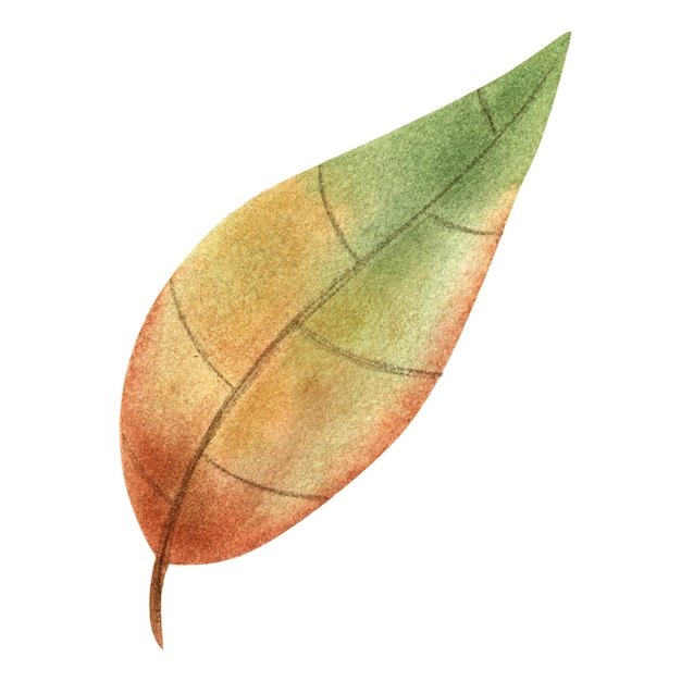 Красочные яркие осенние листья, нарисованные акварелью осенней иллюстрации