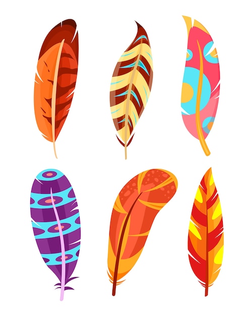 Vector colorful and bright feathers. feathers  on white background in flat style.