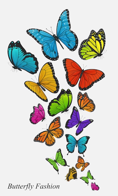 colorful butterflies isolated on grey