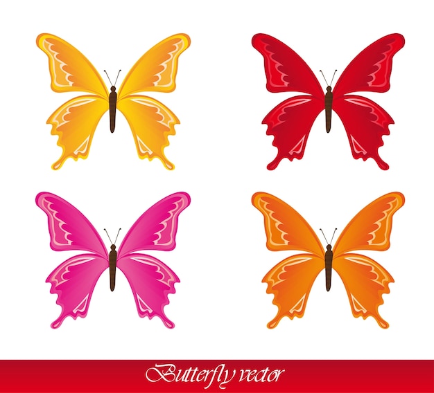 Vector colorful butterflies isolated