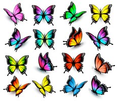 Vector colorful butterflies set. vector.