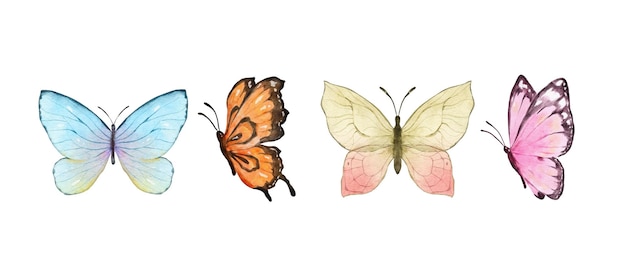 Colorful butterflies watercolor isolated on white background blue orange yellow and pink butterfly spring animal vector illustration