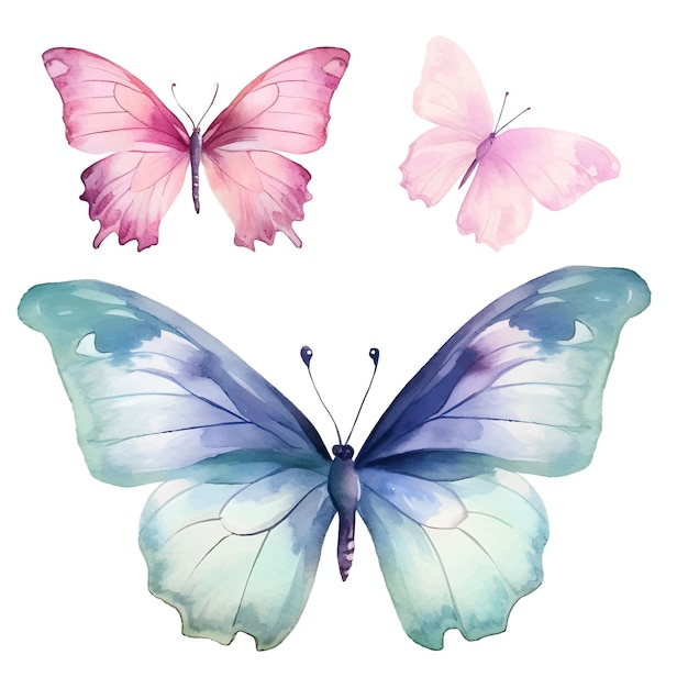 colorful butterfly clipart
