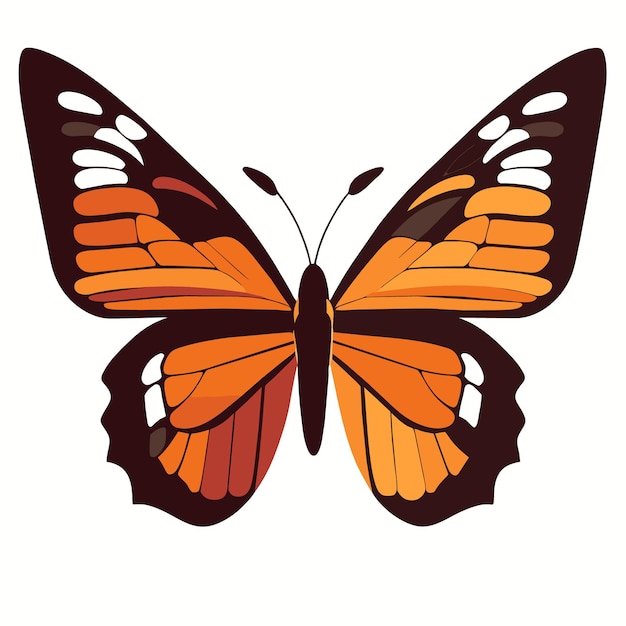 Vector colorful butterfly graphic artistic expression