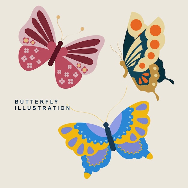 Colorful Butterfly Illustration Vector