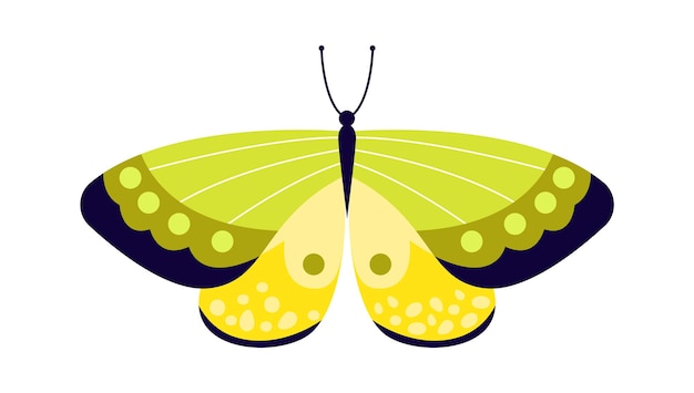 Красочная векторная иллюстрация насекомых-бабочек