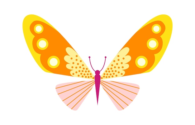 Vector colorful butterfly insect vector illustration