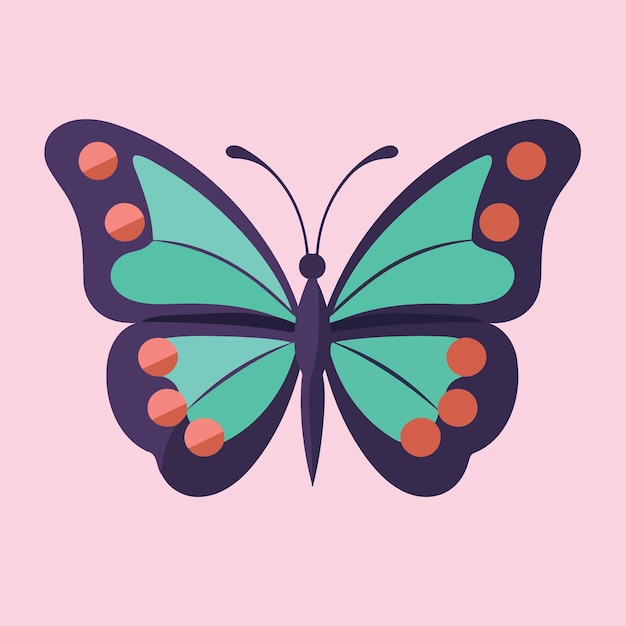벡터 화려한 나비 또는 나방