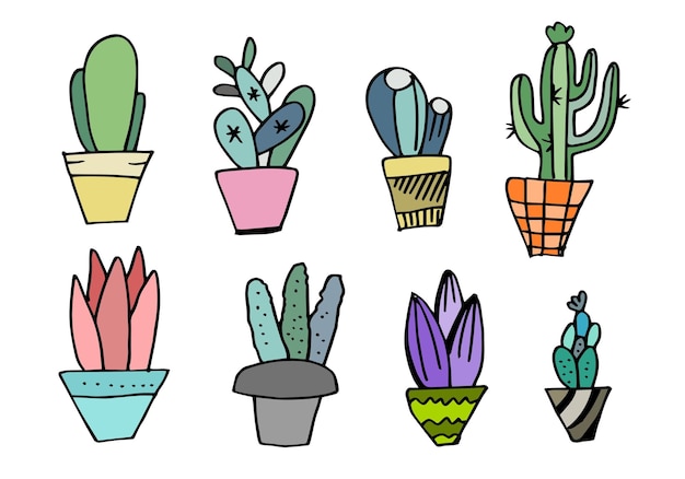 Insieme variopinto di vettore di cactus e piante grasse illustrazione di cactus disegnati a mano
