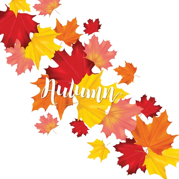 Vector colorful card or banner with autumn leaves in with place for text