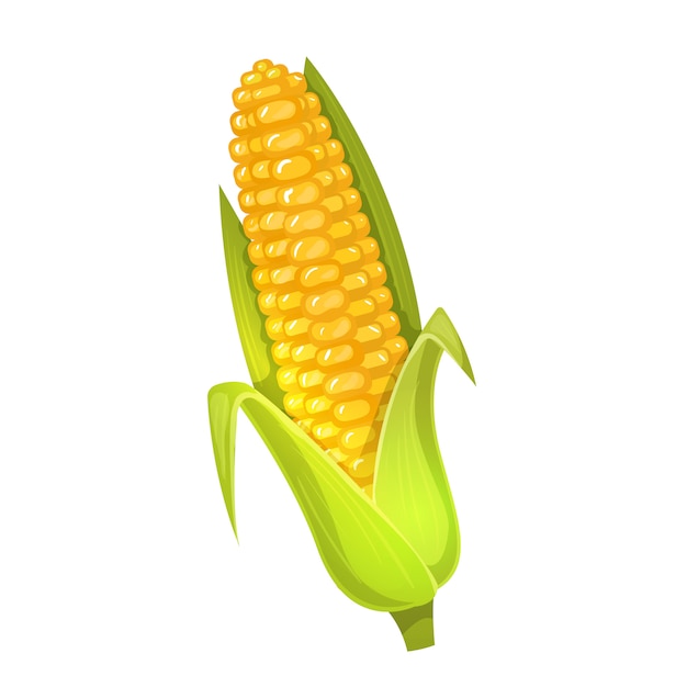 Colorful cartoon illustration of corn 