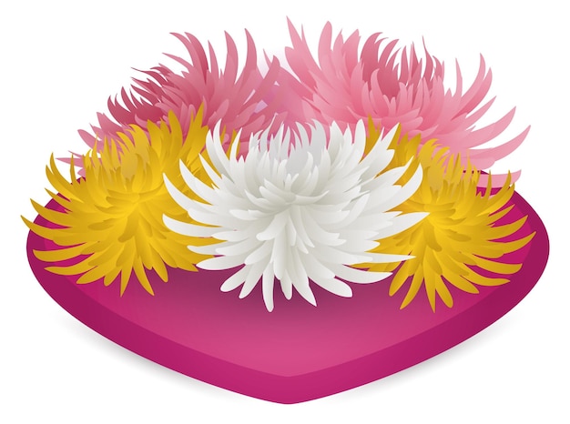 Colorful chrysanthemums resting in decorative pink heart shaped ornament over white background