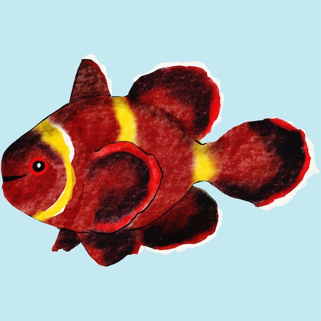 Vector colorful clown fish watercolor painting artistic marine illustration