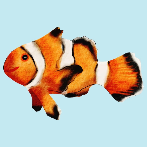 Vector colorful clown fish watercolor painting artistic marine illustration