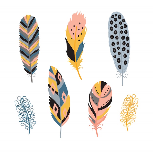 Colorful detailed bird feathers set