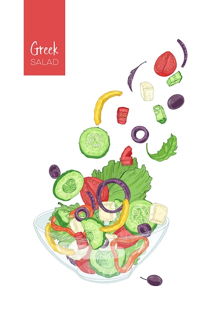 Vector colorful drawing of greek salad and its ingredients