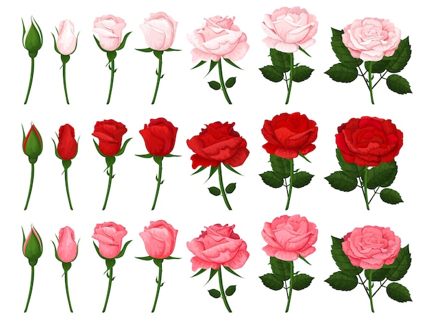 Vector colorful  elements for for illustrations, greeting cards, wedding invitations and happy valentine's day.