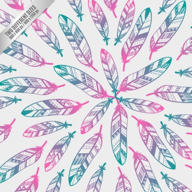 Vector colorful ethnic feathers background