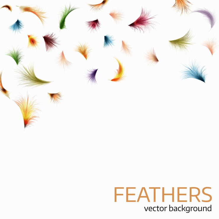 Vector colorful exotic feathers on white background