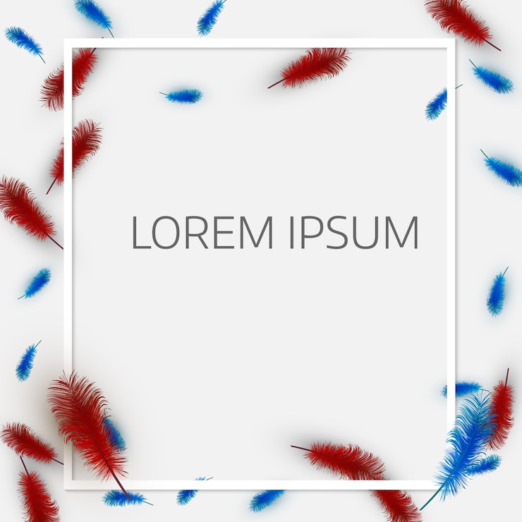 Vector colorful exotic feathers on white background