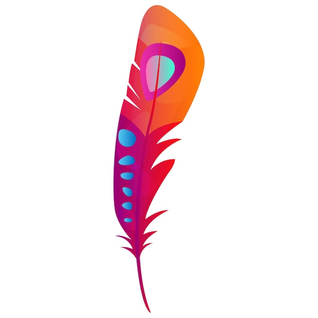 Vector colorful feather vector