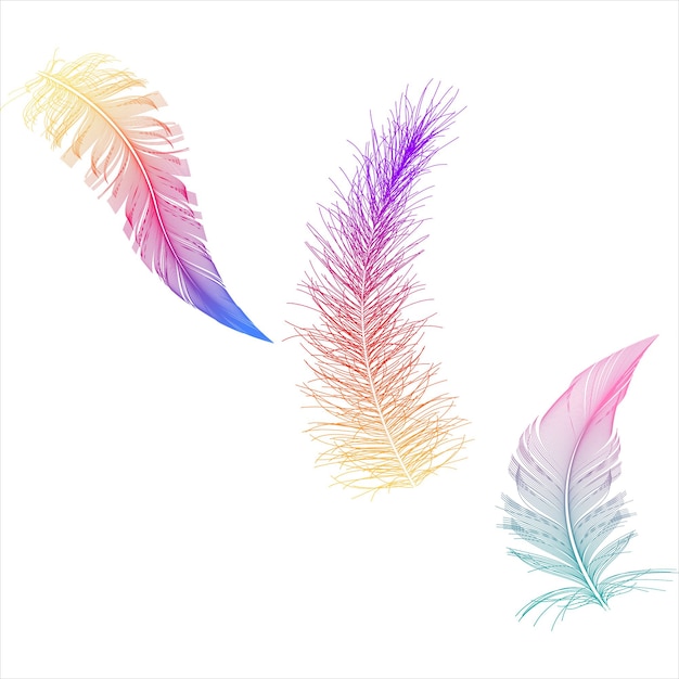 Vector colorful feather vector