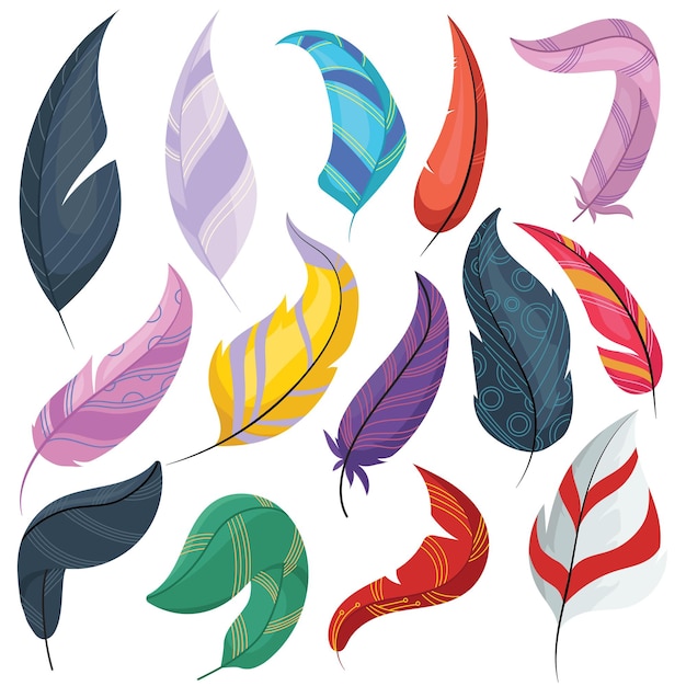 Vector colorful feathers pack flat vector illustration