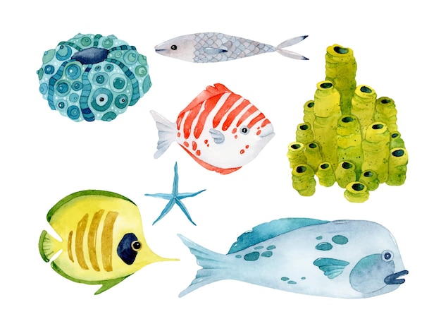 Colorful fishes watercolor isolated elements set collection