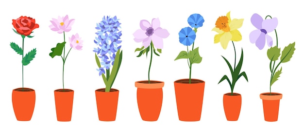 Vettore fiori piatti colorati in vaso lungo perfetto per illustrazioni ed educazione naturalistica