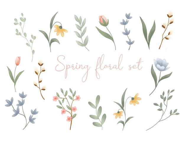 벡터 잎 봄 꽃 브런치와 함께 다채로운 꽃 컬렉션