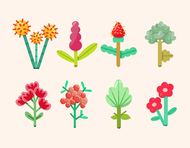 Vector colorful flower collection