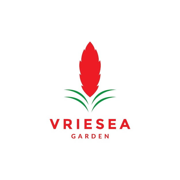 Vector colorful flower vriesea logo design