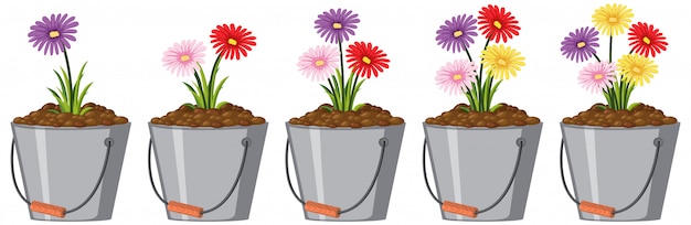 Vector colorful flowers in metal buckets on white