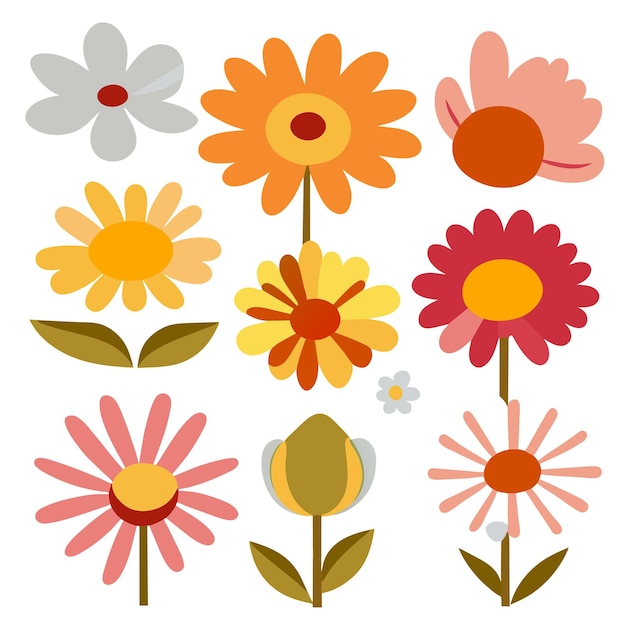 Vector colorful flowers over white background vector illustration