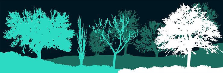 Vector colorful forest design concept a poster with colorful trees and landscape natural poster deisgn