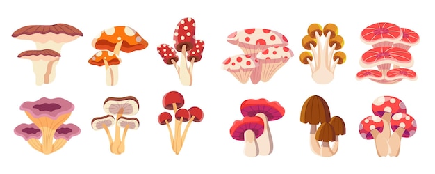 Красочная лесная дикая коллекция разнообразных съедобных грибов и поганок в мультяшном стиле Векторная иллюстрация