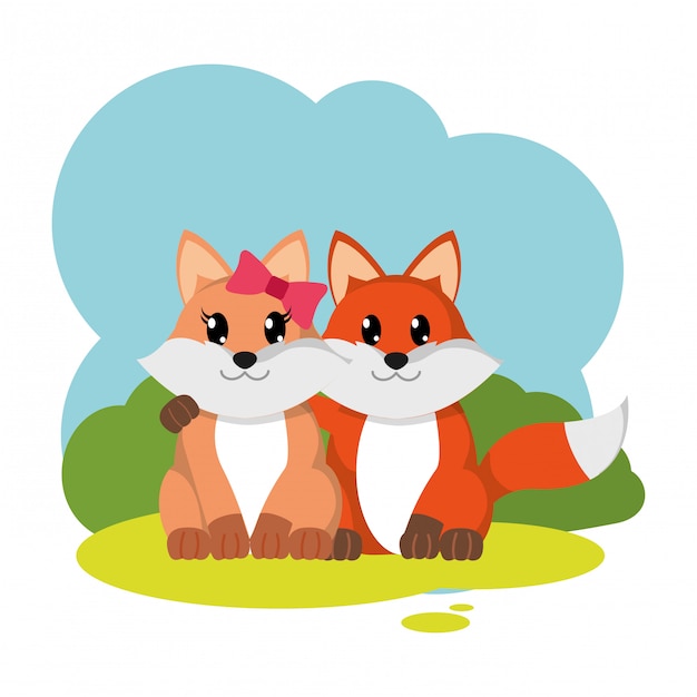 Colorful fox couple cute animal in the landscape