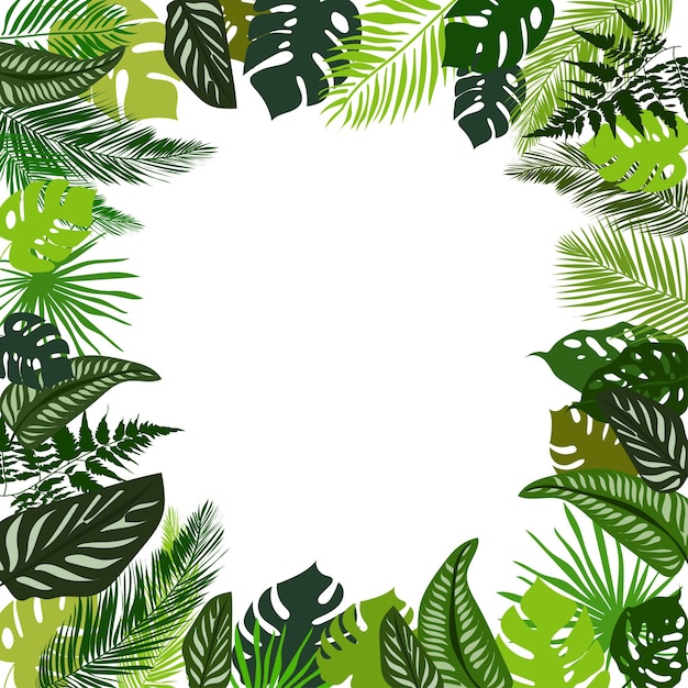 Vector colorful frame of green tropical leaves in a beautiful style on a white background leaf decoration